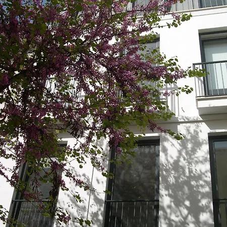 Orange 3 House - Chiado